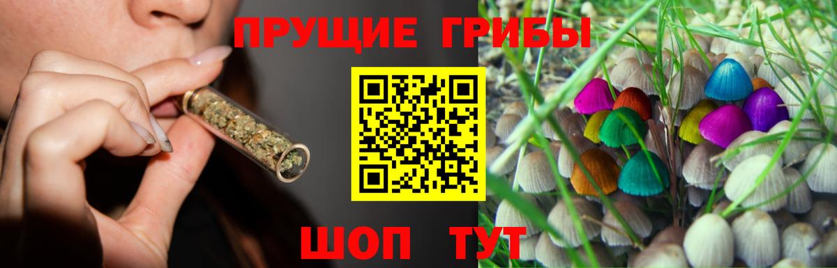 Симферополь  Галлюциногенные грибы мицелий  Вход с VPN  Галлюциногенные грибы ЛСД 
